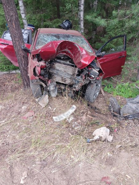 В Удмуртии в результате столкновения с деревом погиб водитель легкового автомобиля